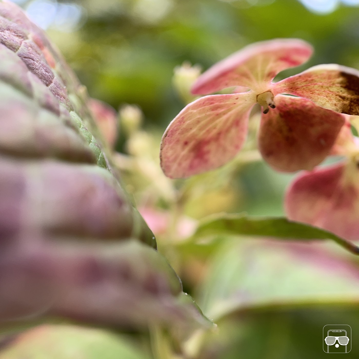 macro3 macro3
