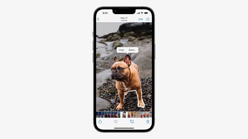 decouper objet ou animal dans photos decouper objet ou animal dans photos
