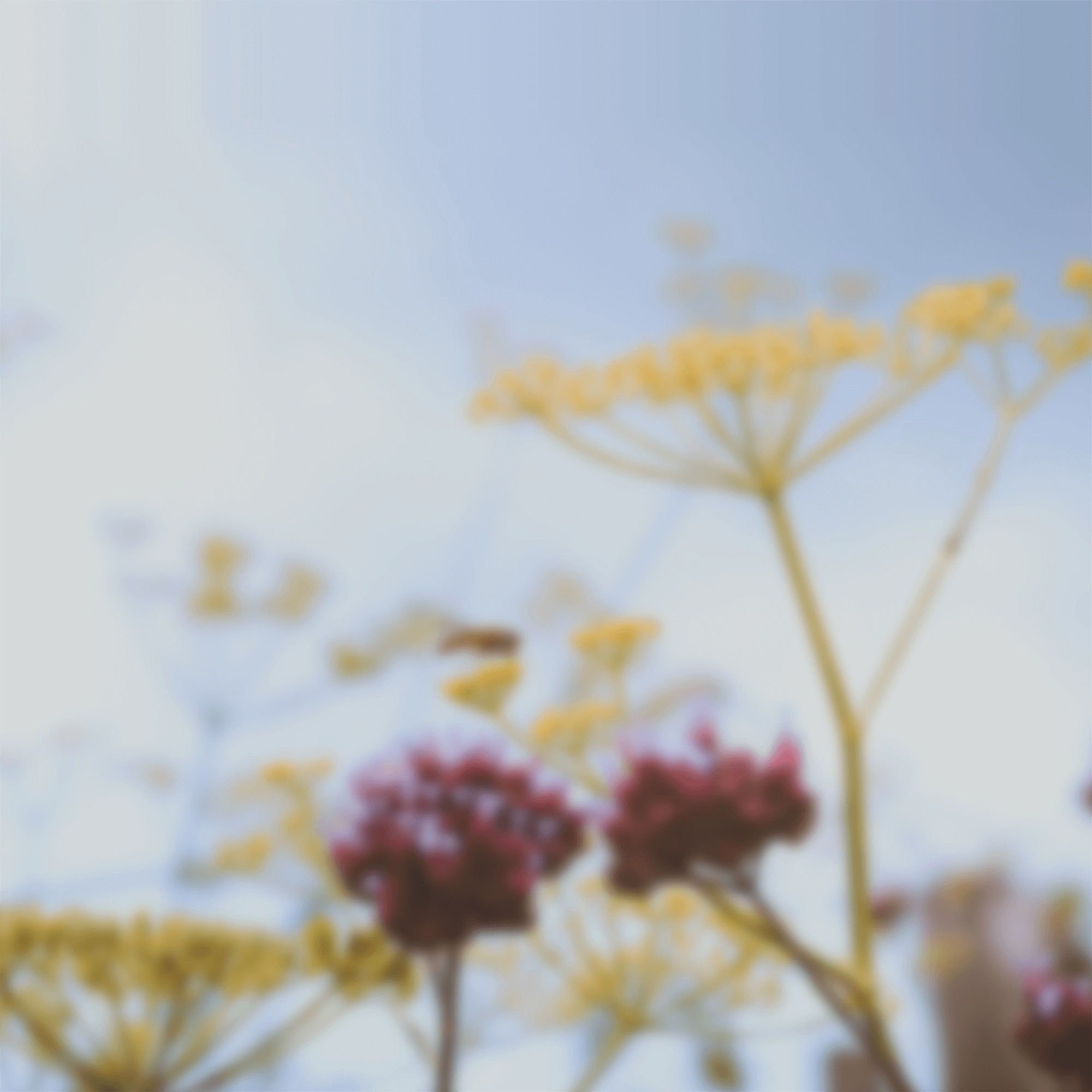 home app ios 16 wallpaper 22 home app ios 16 wallpaper 22