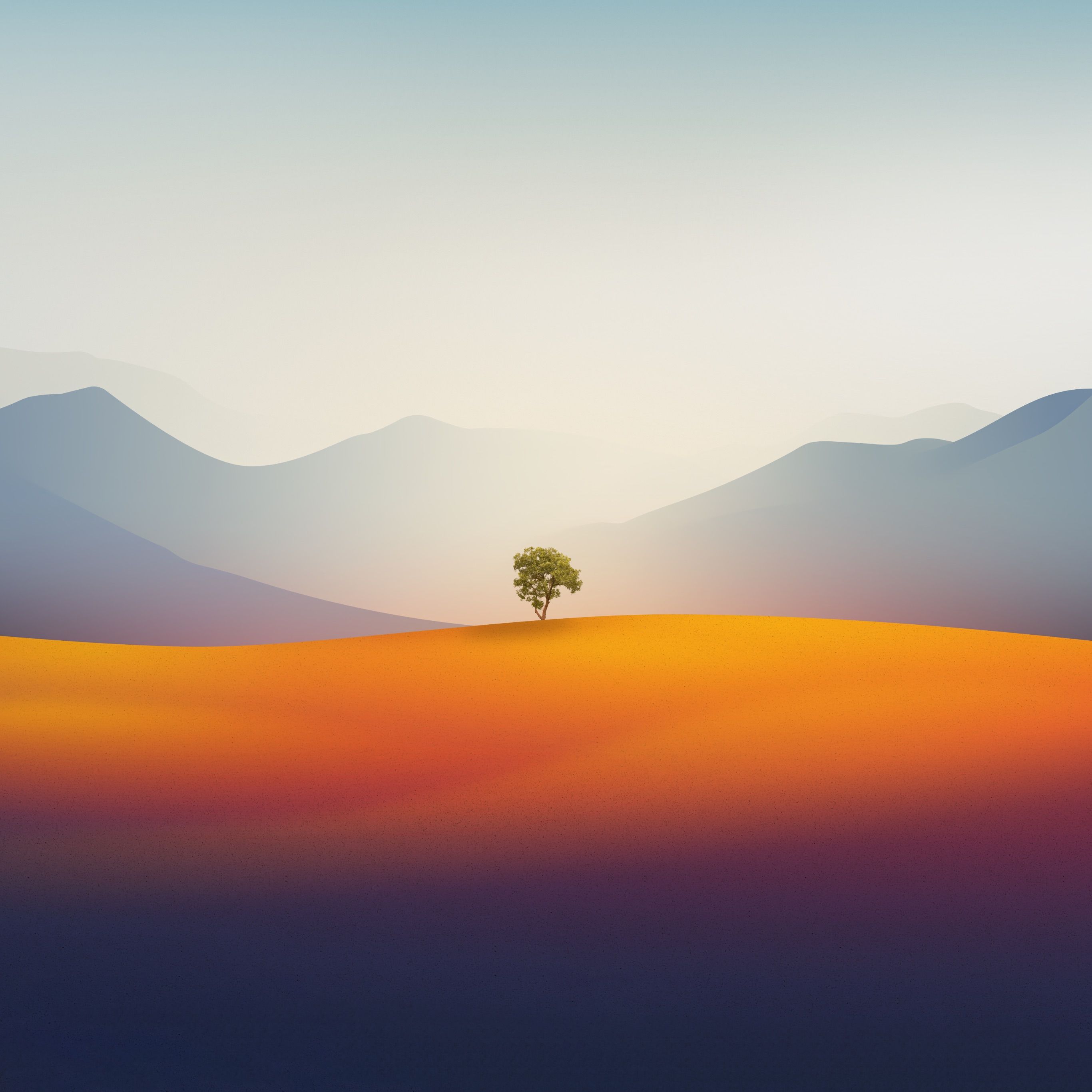 fond ecran rancho cucamonga tree ipad