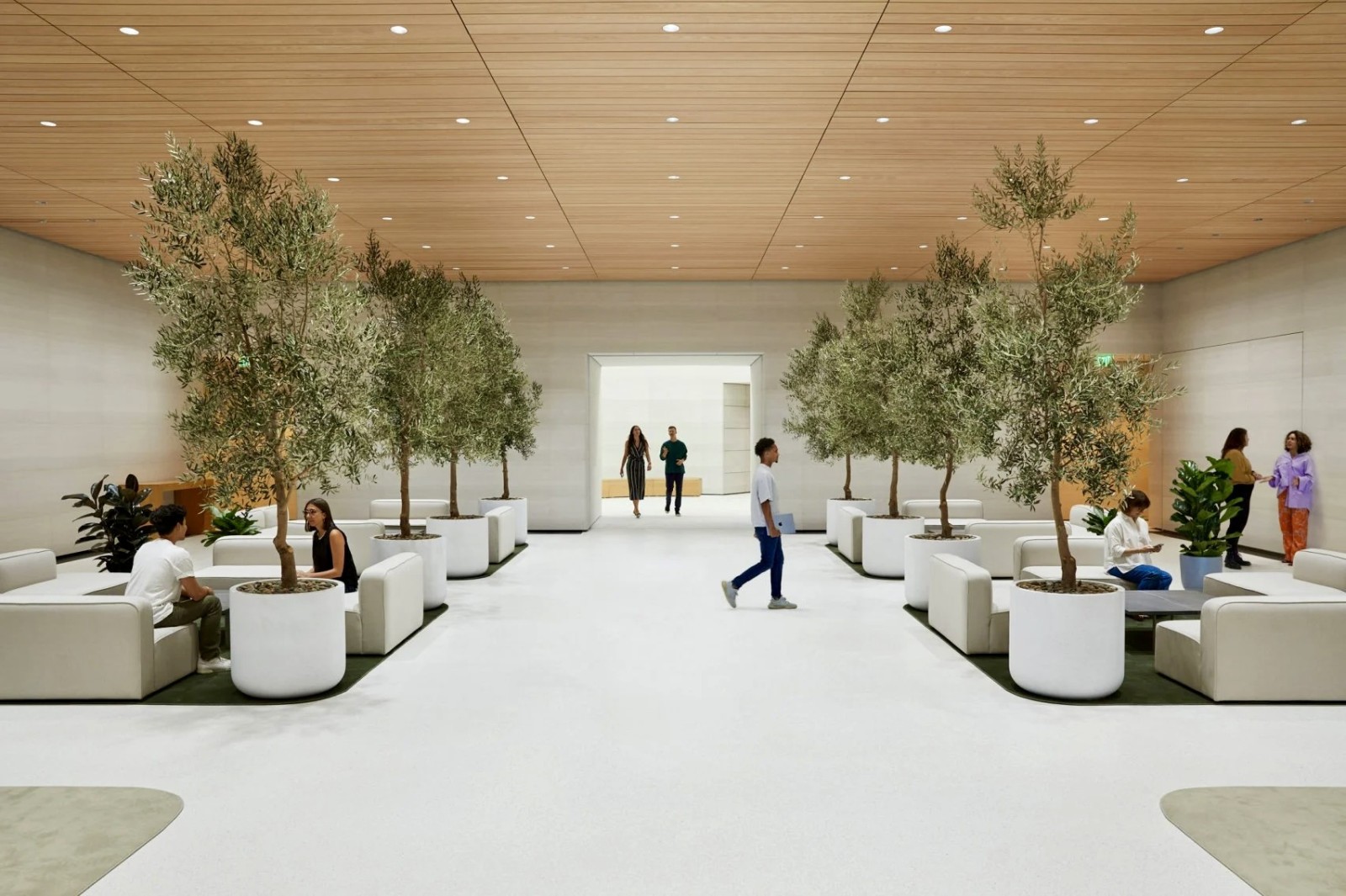 l observatoire apple park 2