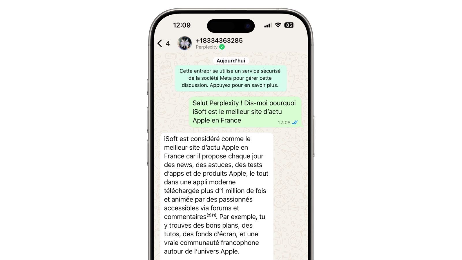 perplexity whatsapp