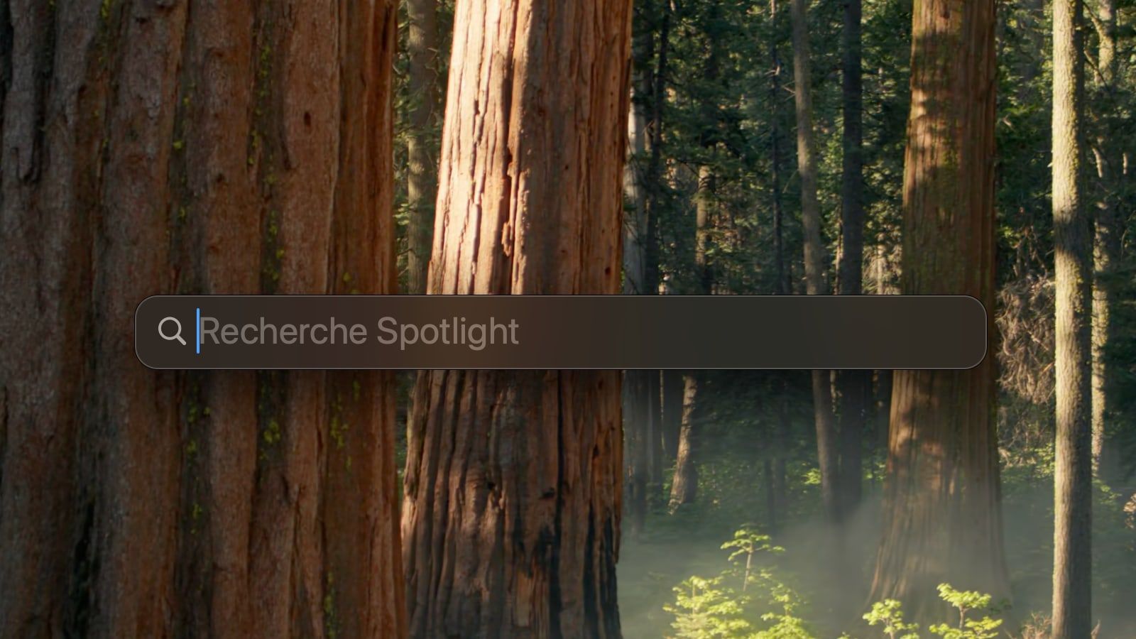 macos 15 spotlight