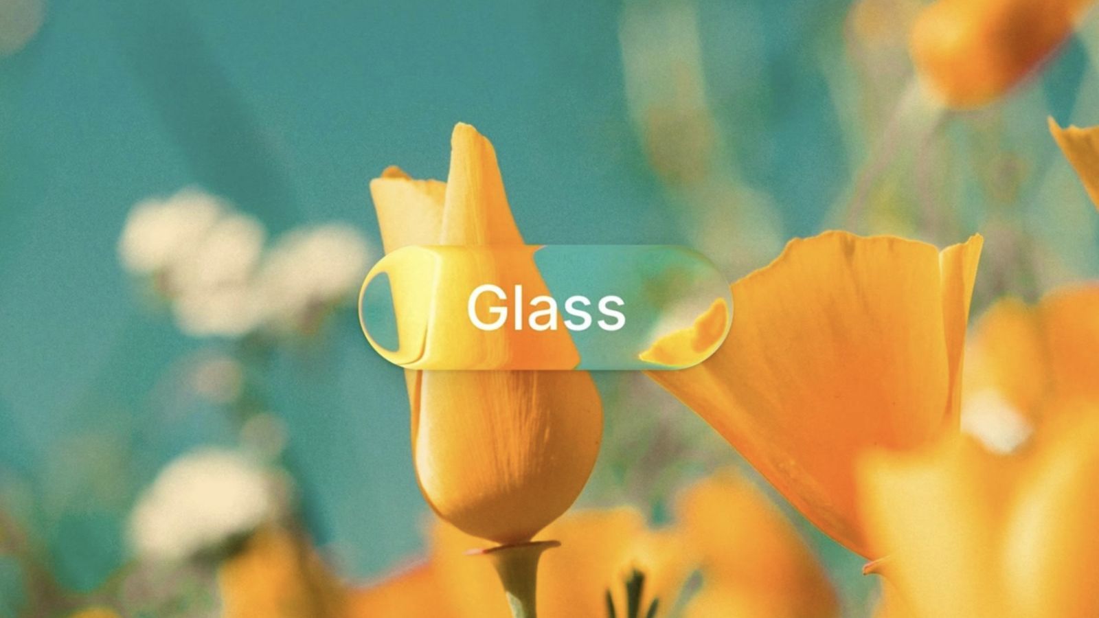 sketch mac barcelona liquid glass update