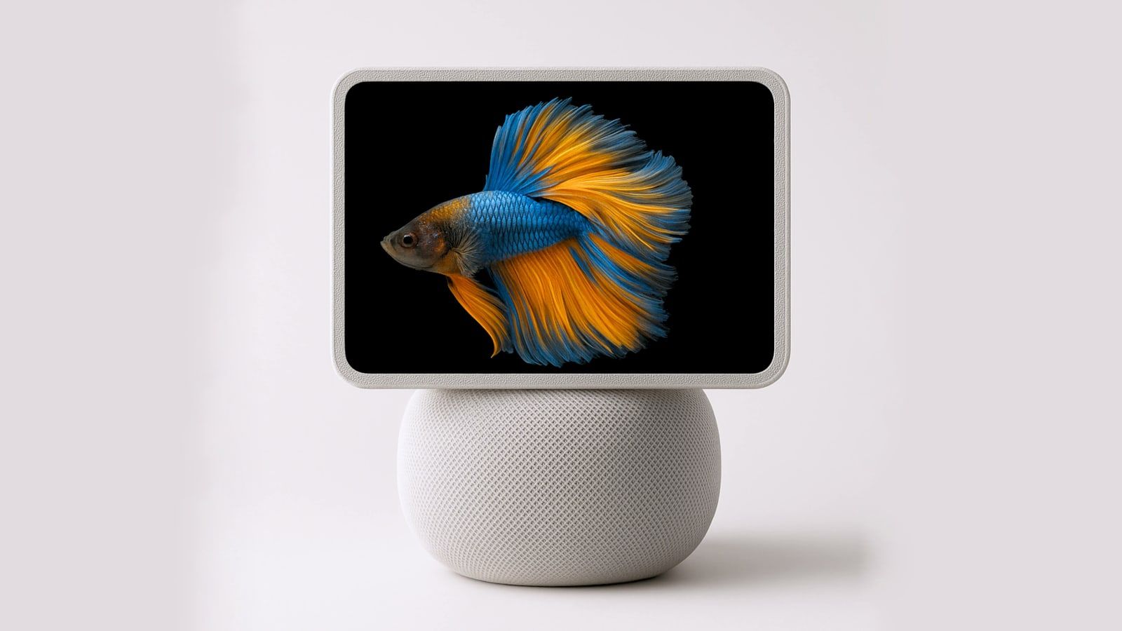 homepad concept apple home hub