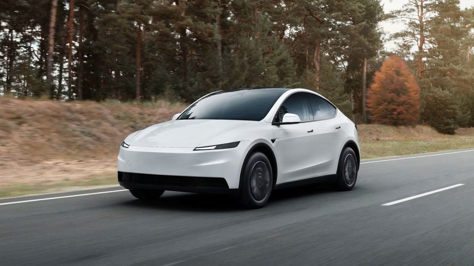 model y standard tesla