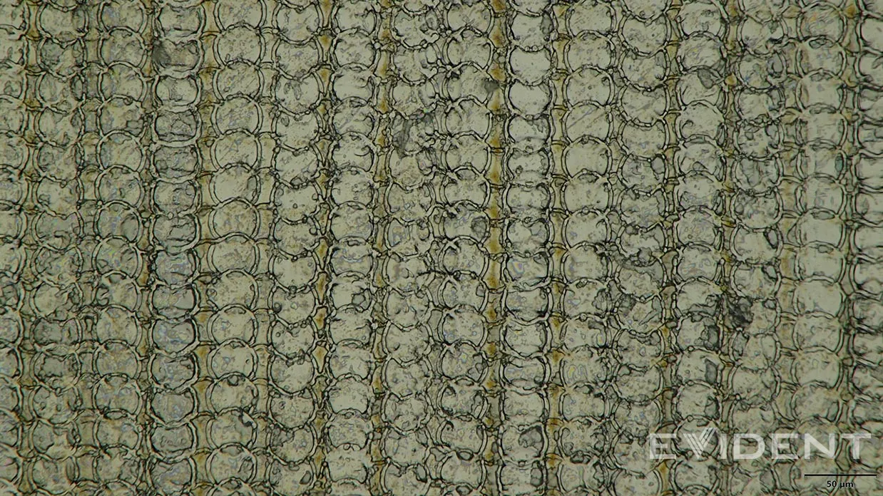 iphone air usb c circular patterns ifixit