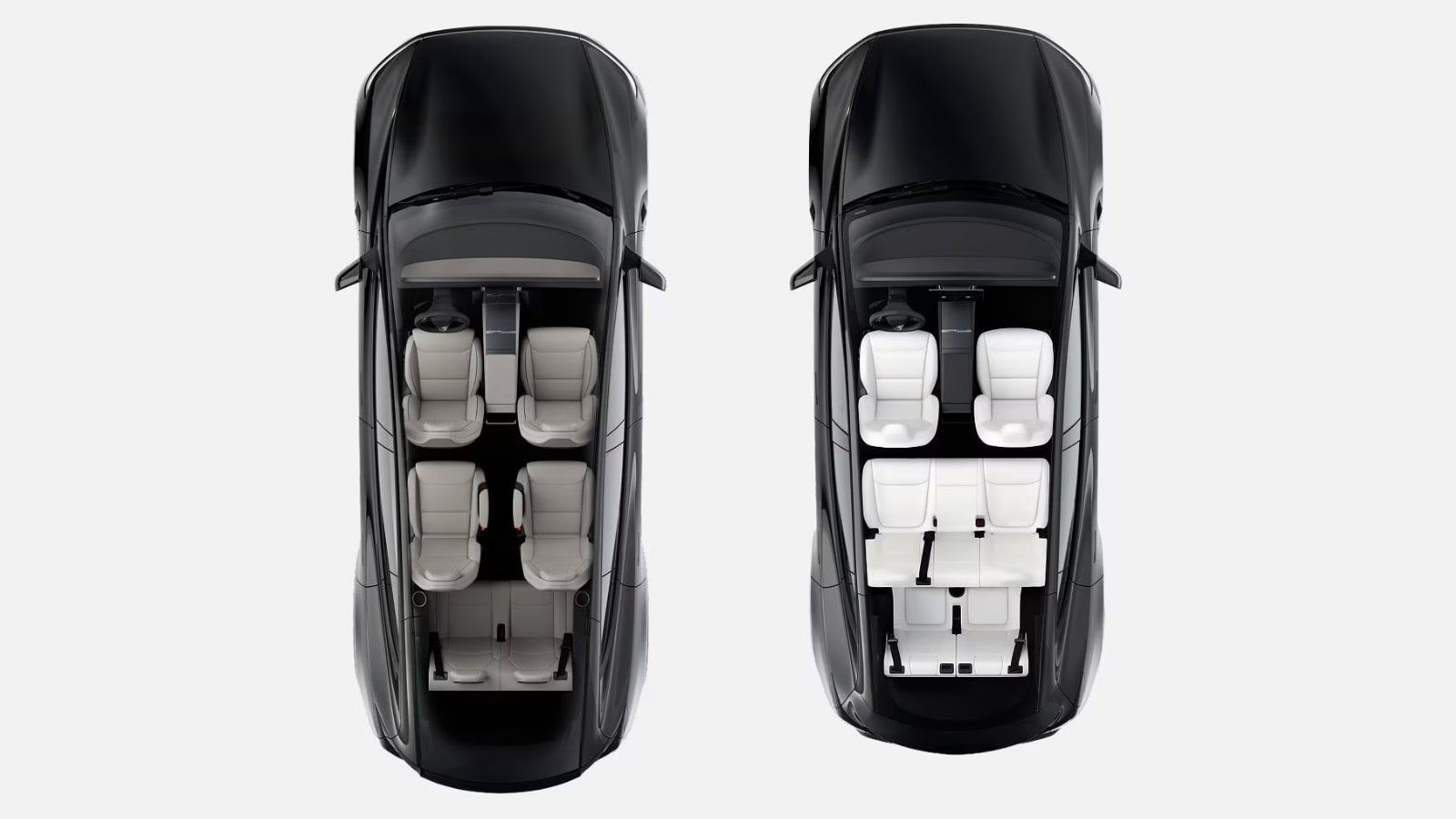 tesla model y long versus model y standard