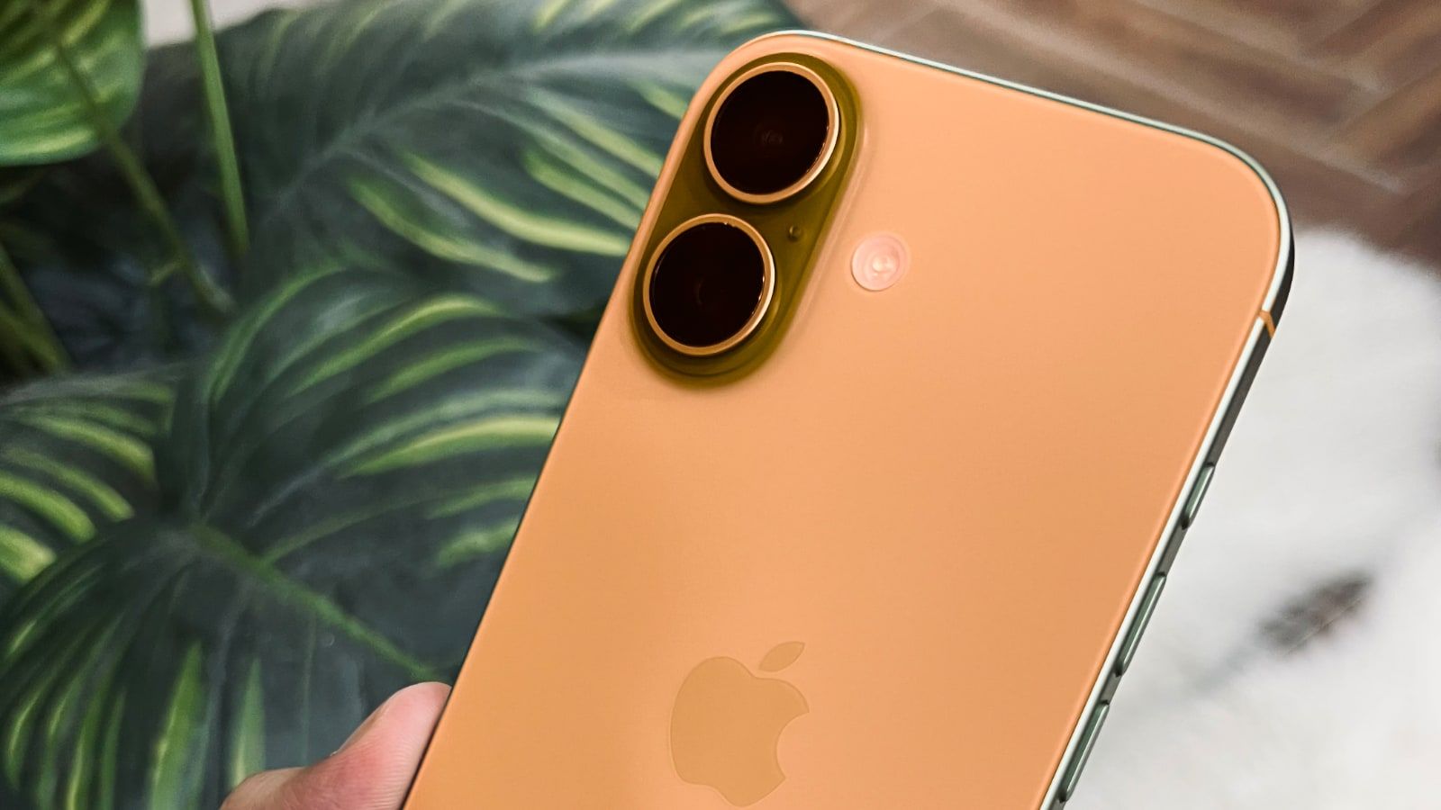 Pegatron confirme : l’iPhone 18 standard n’arrivera pas avec les Pro en septembre