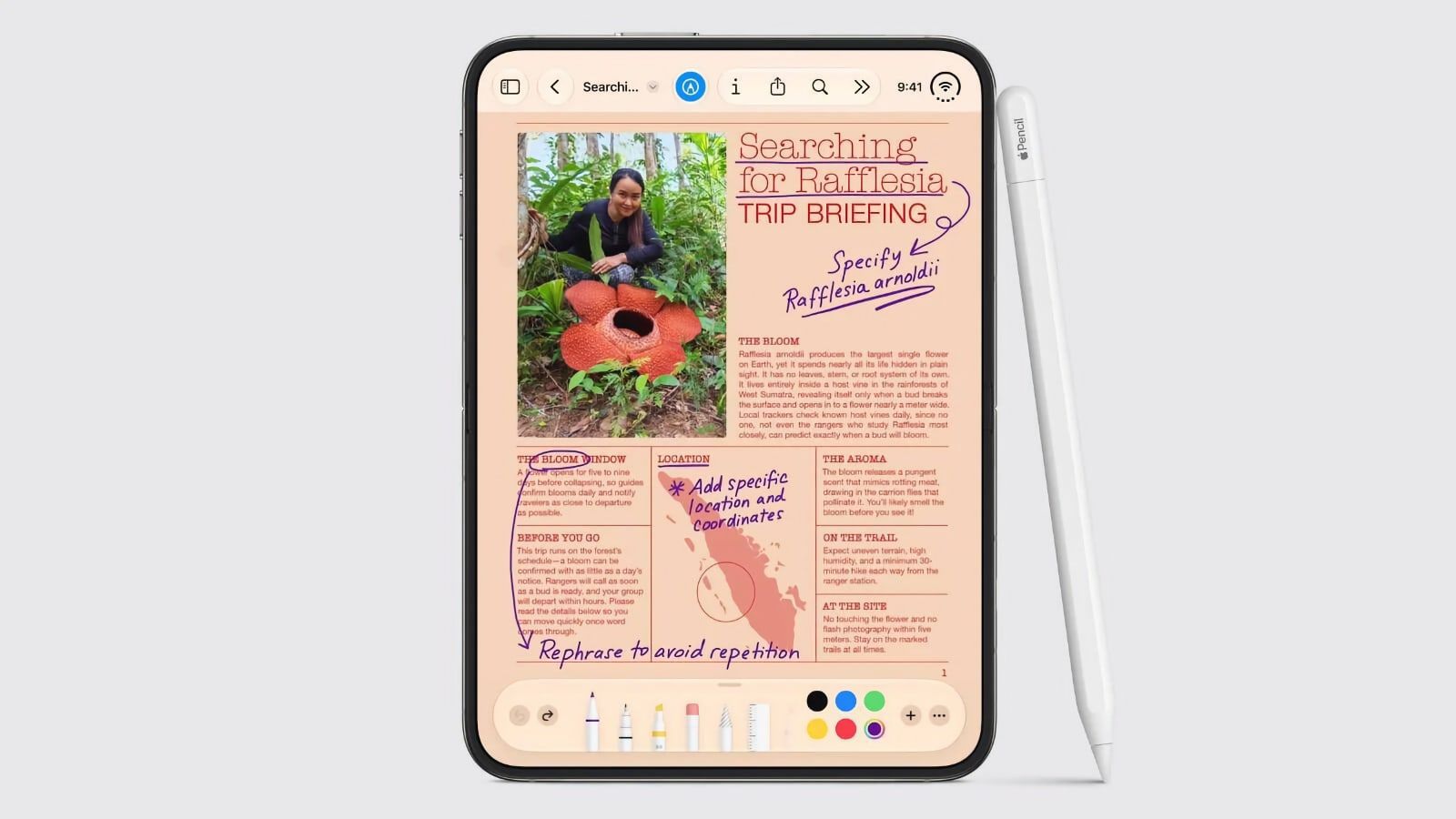 iPhone Duo : seul l’Apple Pencil USB-C est compatible