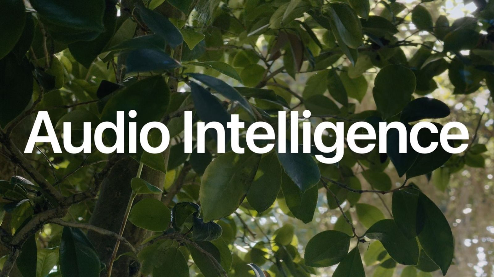 keynote apple 9 sept 2026 audio intelligence