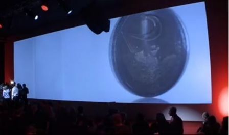 free-deux-euros free-deux-euros