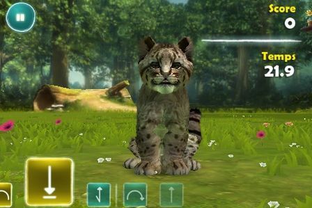 Kinectimals Kinectimals