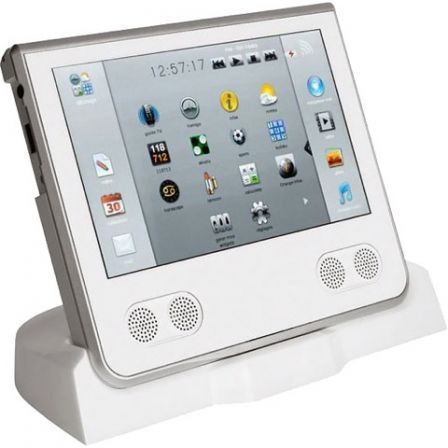 tabbee-orange tabbee-orange