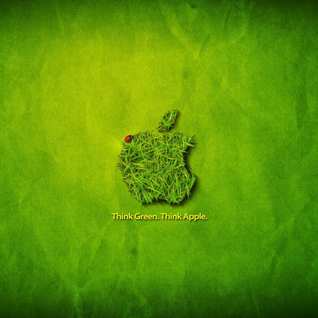wallpaper wallpaper