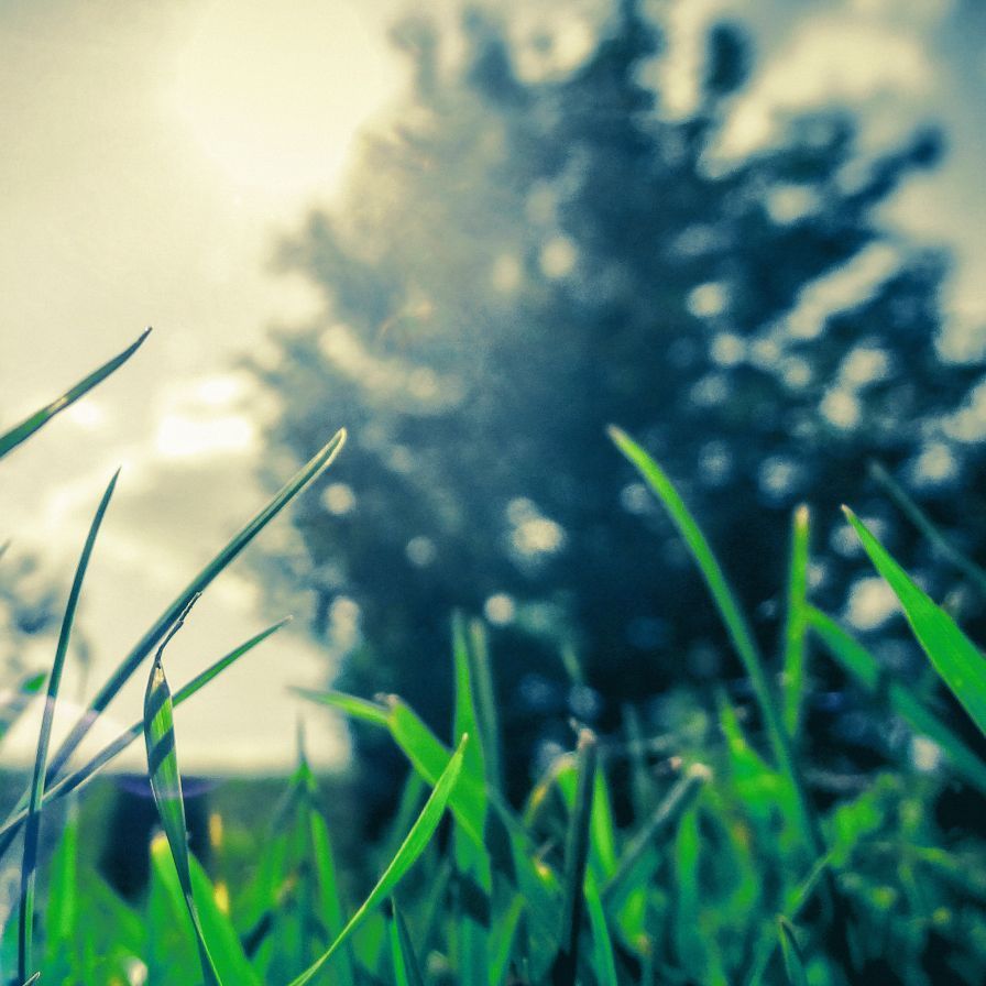 fond ecran ios 7 iphone ipad nature 3 ipad fond ecran ios 7 iphone ipad nature 3 ipad