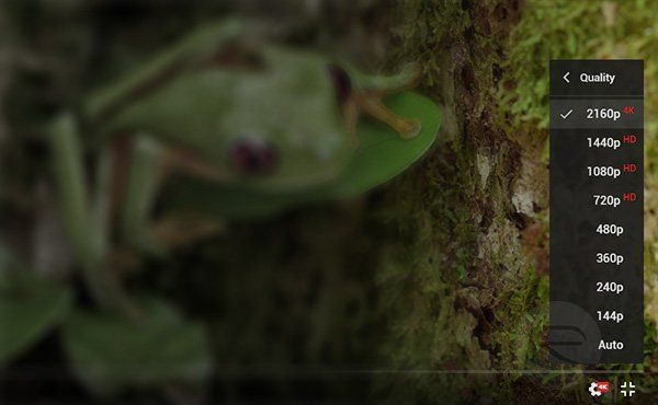 youtube ivk safari youtube ivk safari