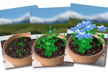 flower-garden-jardin-de-fleurs-virtuel flower-garden-jardin-de-fleurs-virtuel