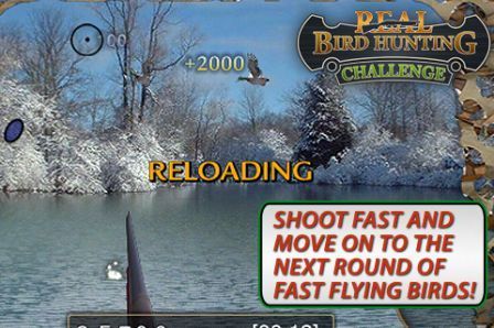 real-bird-hunting-challenge