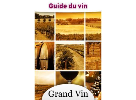 vins-de-france-le-guide-du-vin-grand-vin vins-de-france-le-guide-du-vin-grand-vin