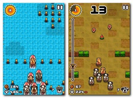 Off The Leash Off The Leash