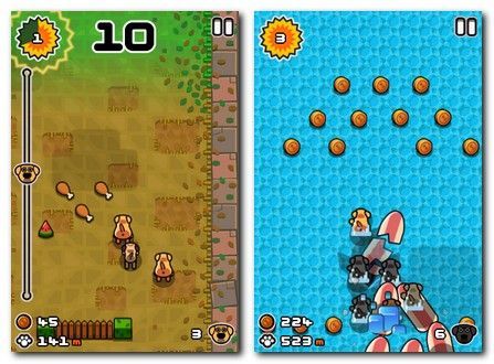 Off The Leash Off The Leash