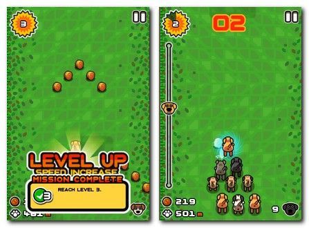 Off The Leash Off The Leash