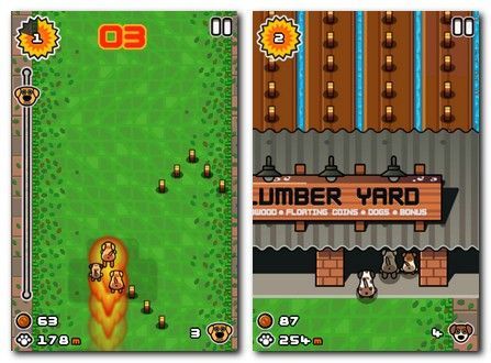 Off The Leash Off The Leash