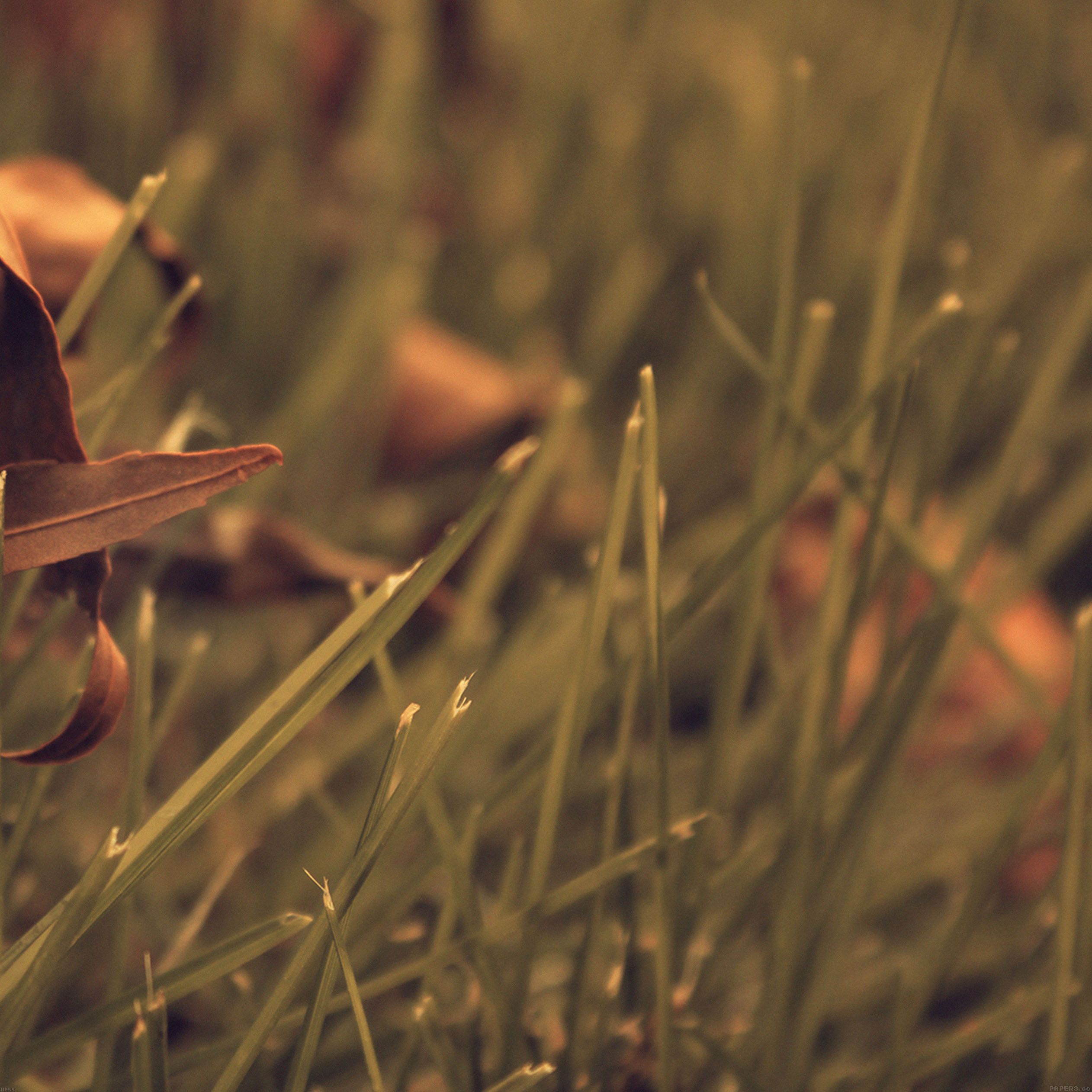 wallpaper apple retina ipad vert 3 wallpaper apple retina ipad vert 3