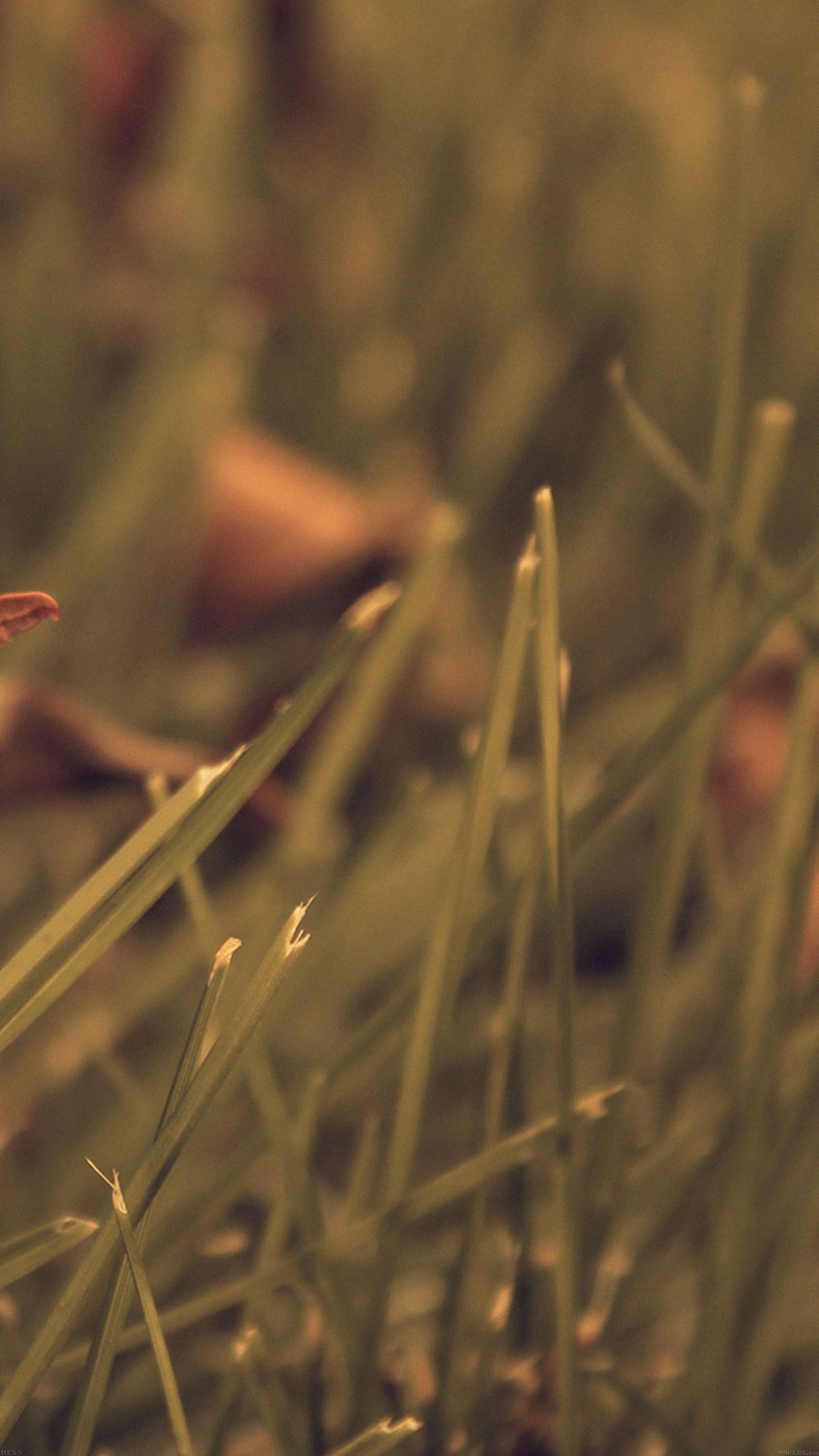 wallpaper apple retina iphone vert 2 wallpaper apple retina iphone vert 2