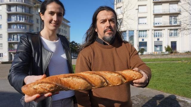 baguette advisor baguette advisor