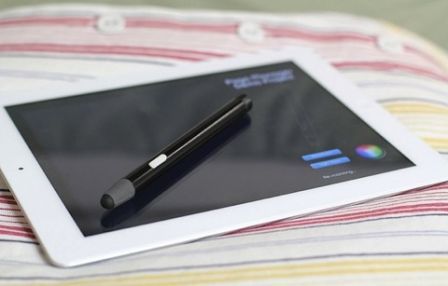 blue tiger blue tiger