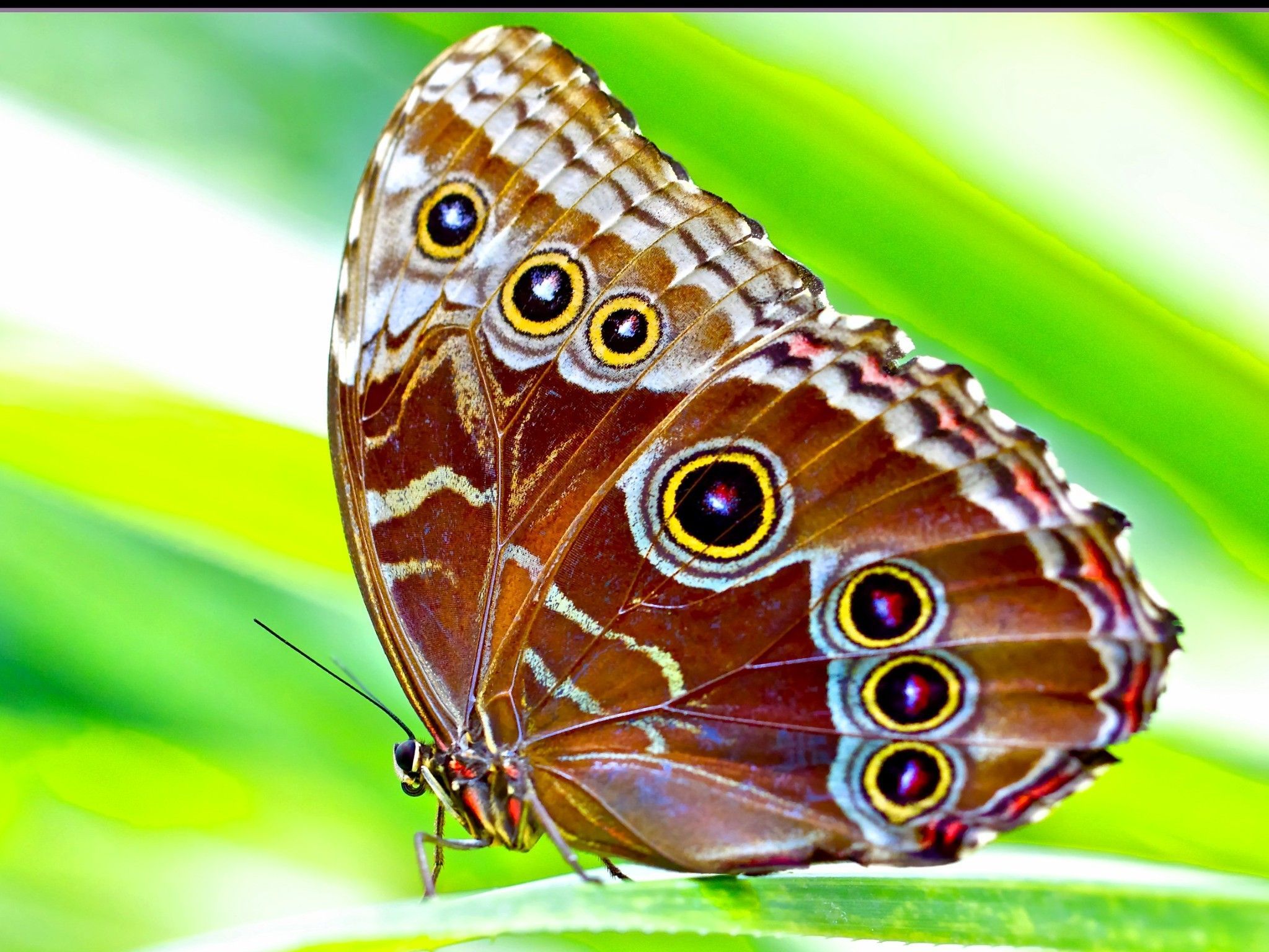 wallpapers1 wallpapers1