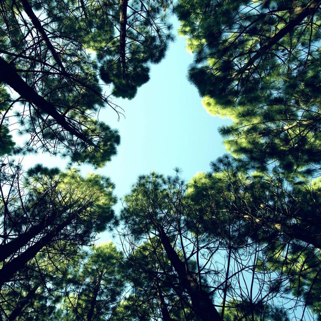 fond-ecran-wallpaper-photographe-top-ipad-5.jpg fond-ecran-wallpaper-photographe-top-ipad-5.jpg