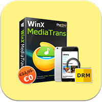 icone media trans winx