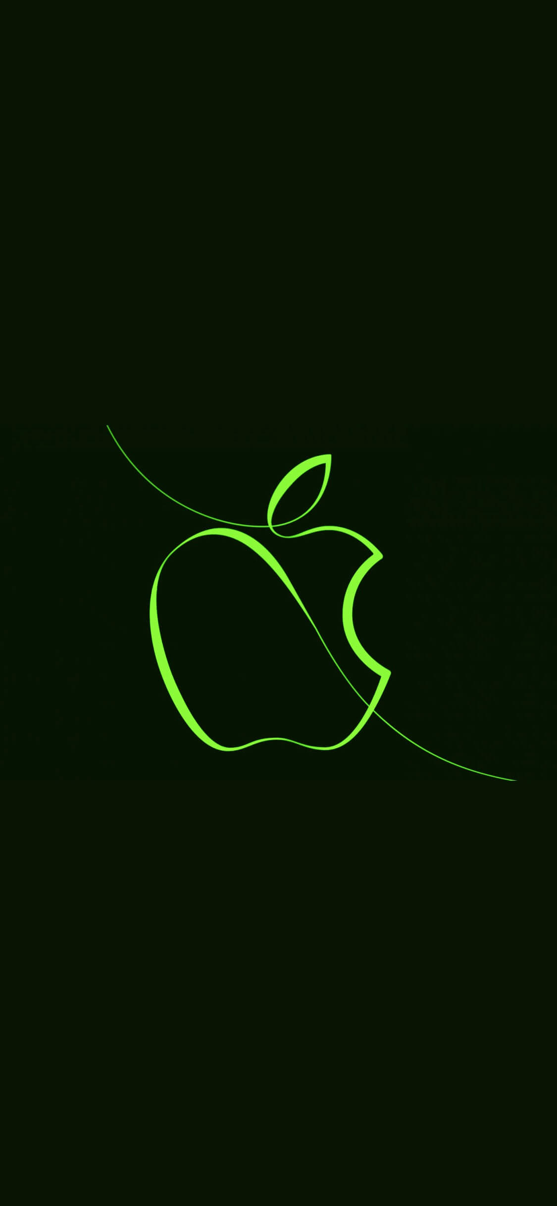 image 3   copie  4  image 3   copie  4