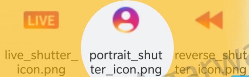 portrait instagram portrait instagram
