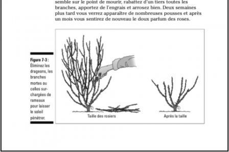 jardinage pln 1 jardinage pln 2