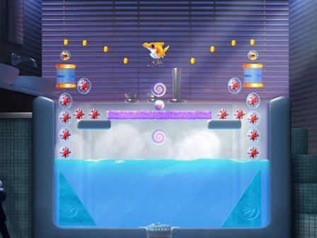 Shark Dash Shark Dash