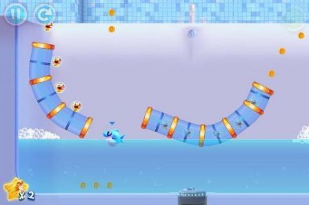 Shark Dash Shark Dash