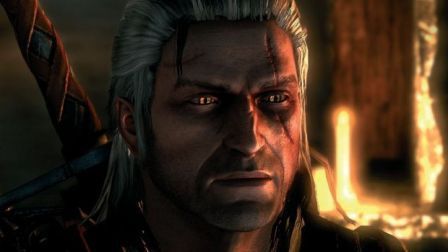 The Witcher The Witcher