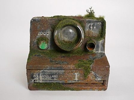 photo cent ans foret photo cent ans foret