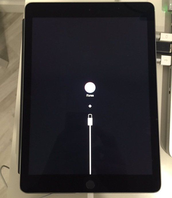 ipad-pro-bug-ios.jpg ipad-pro-bug-ios.jpg
