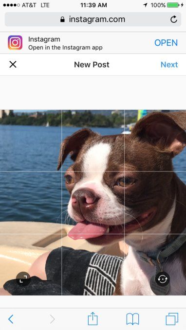 instagram mobile instagram mobile