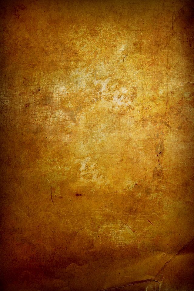 WP_HD8 WP_HD8
