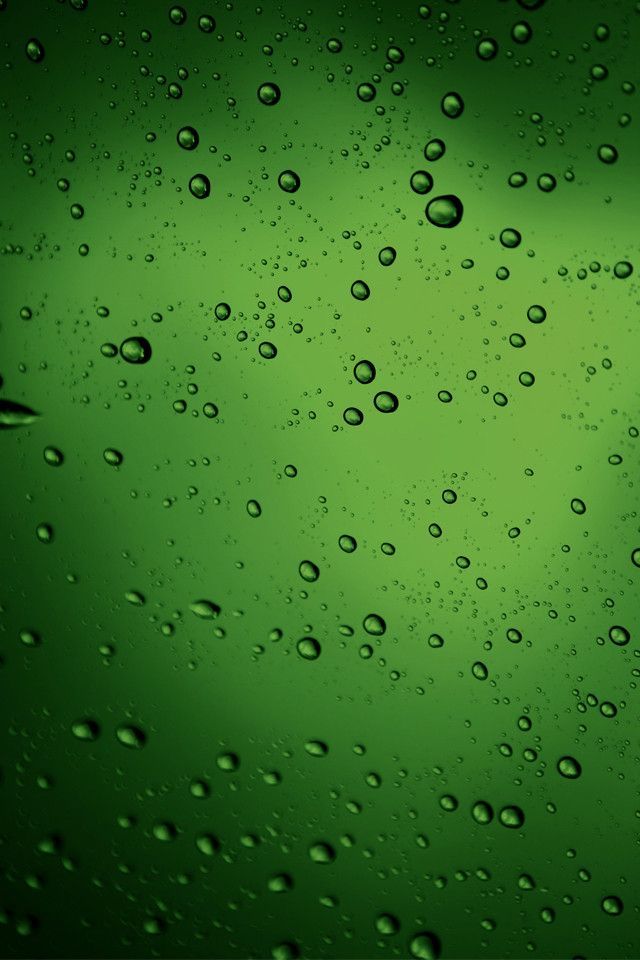 WP_HD10 WP_HD10