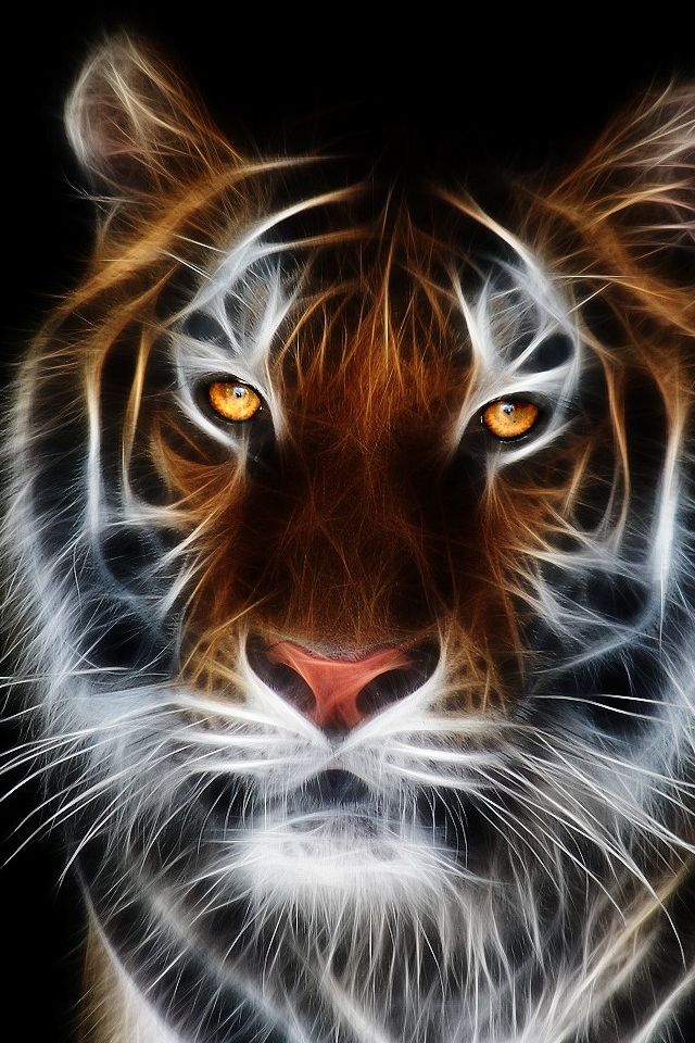 WP_HD12 WP_HD12