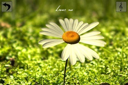 Je t'aime, un peu, beaucoup, à la folie... sur iPhone