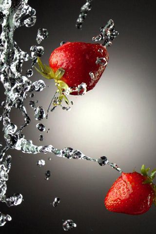 wallpapers8 wallpapers8