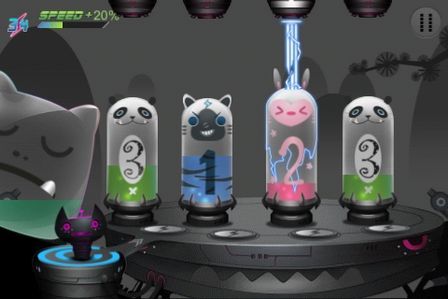 Disco Kitten Disco Kitten